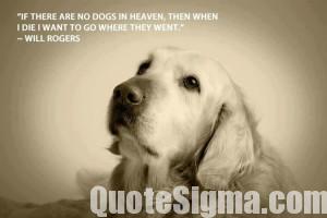 Quotes for Dogs | Dog quotes |Famous quotes about dogs