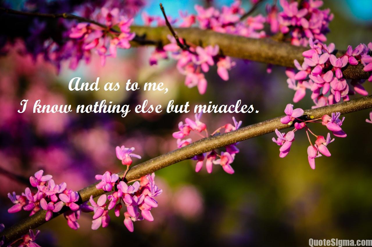 quotes about miracles 