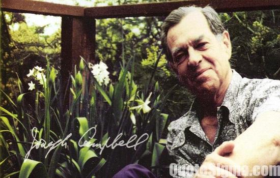 Joseph Campbell Quotes