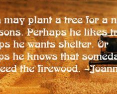 Joyce Meyer Quote: “Everywhere you look you see people searching for love  but they're looking in the wrong places. God is love, and they wil”