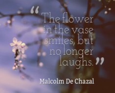 flower quotes